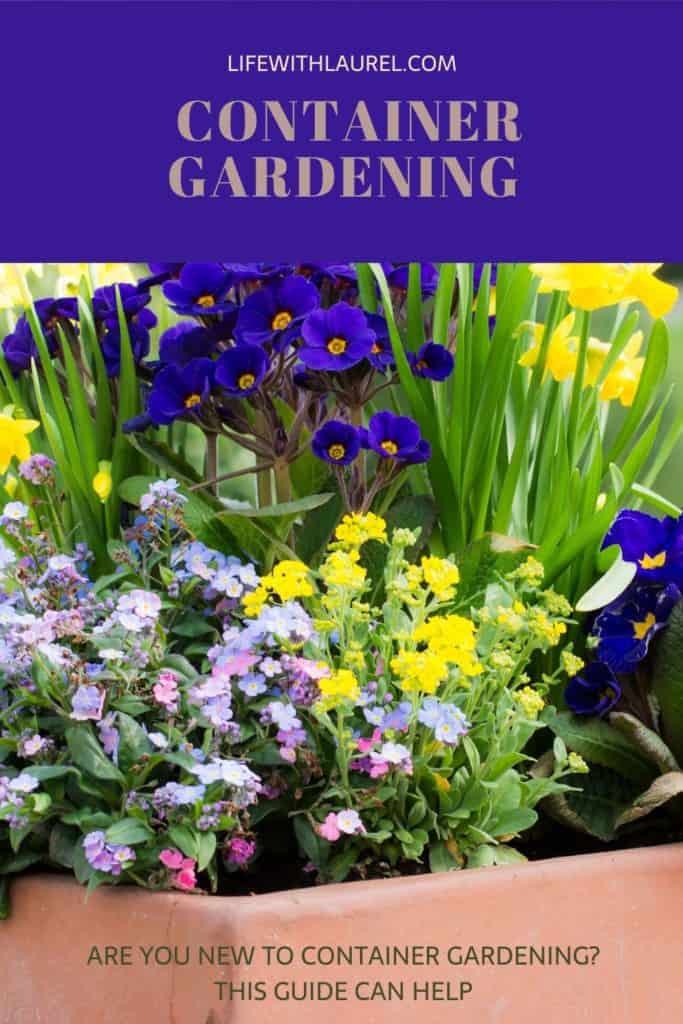 Do you want to begin container gardening? Follow this beginner's guide to container garden for everything you need to know. This is perfect for the apartment dweller or those with limited space.