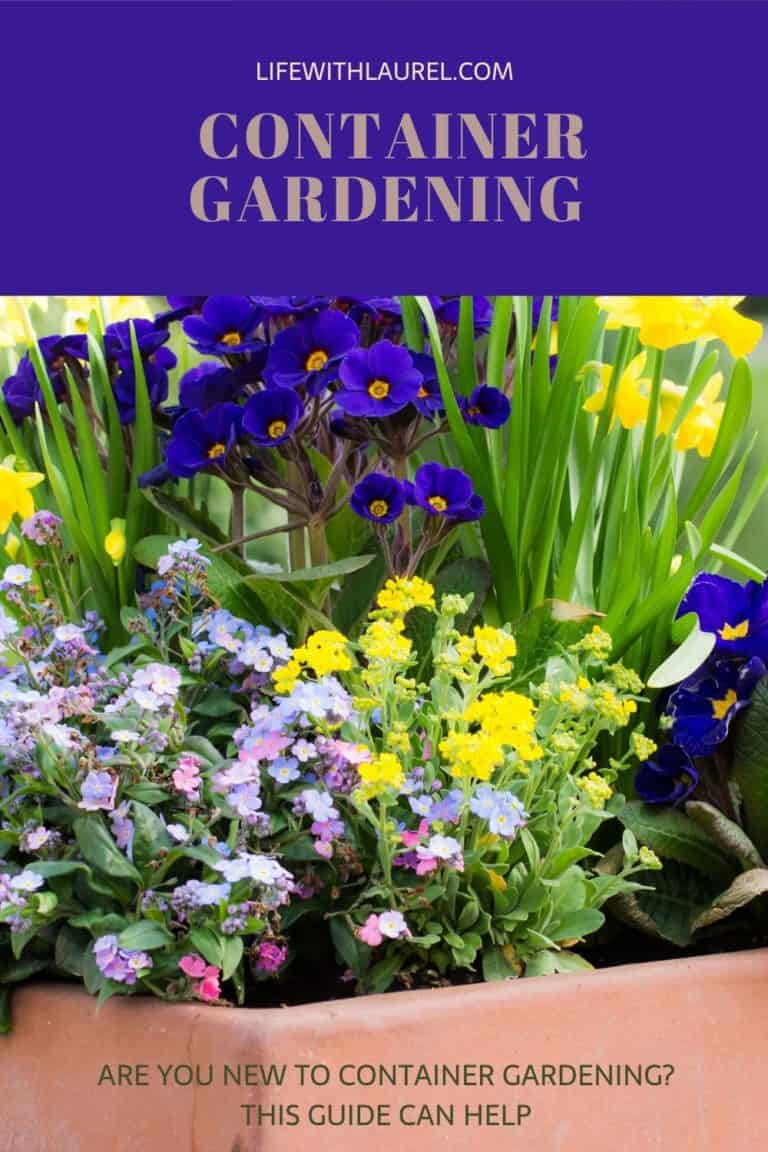 The Best Beginner's Guide To Container Gardening - Life with Laurel