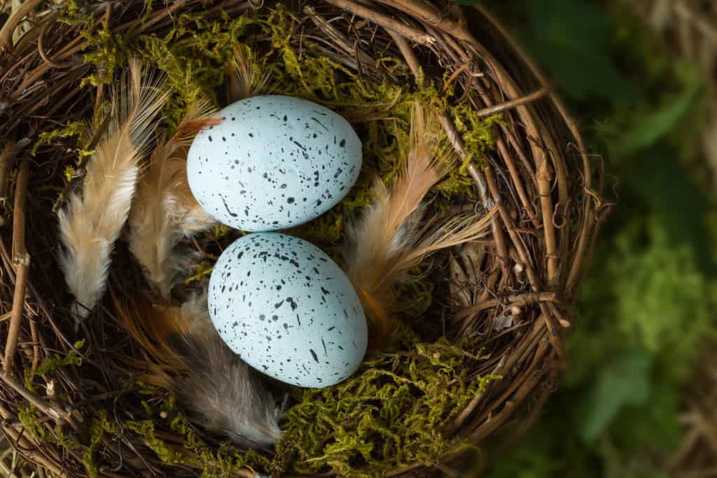 tips to embrace empty nest syndrome