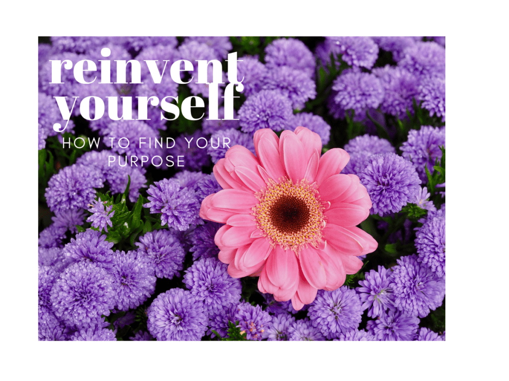 reinvent yourself over 50